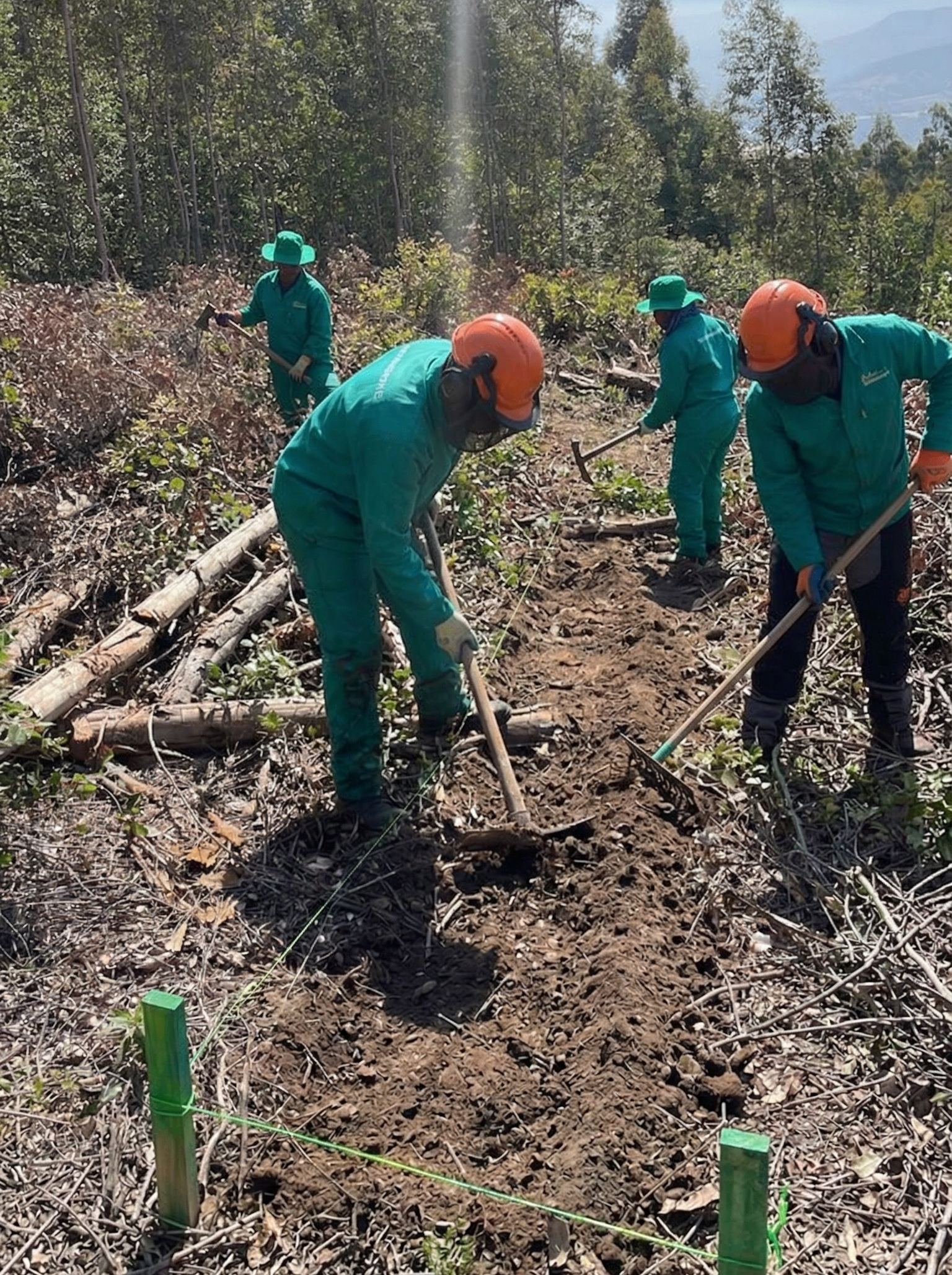Team creating a boundary firebreak