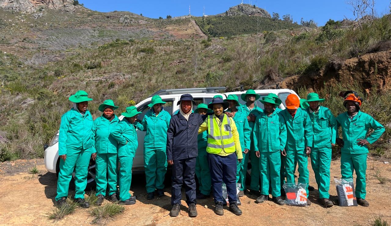 MM Contractors Team